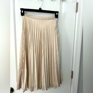 Chic Pleated Skirt, Size 4